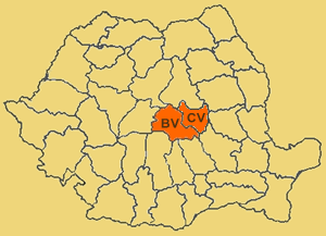 Competenta Birou Executor Judecatoresc Manolache Marcel Iulian